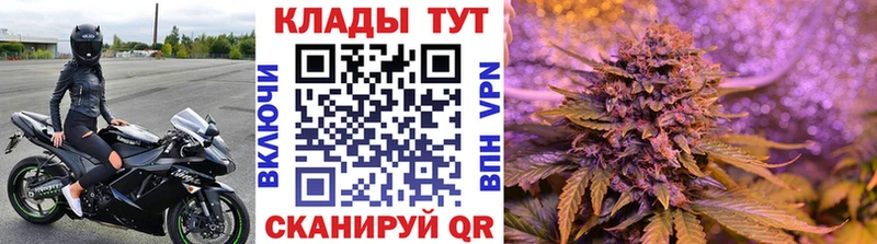 Купить закладку A PVP  Меф  Галлюциногенные грибы  ГАШИШ  Рыльск