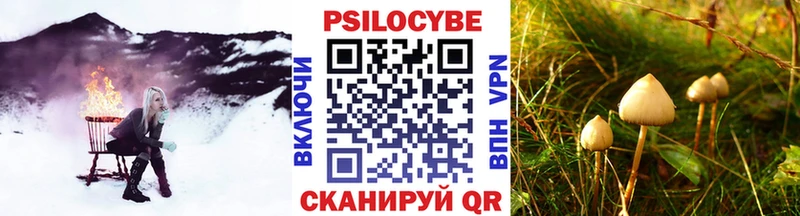 Купить  Рыльск  Галлюциногенные грибы прущие грибы 